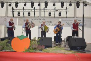 Praznik kakijev v Strunjanu 1